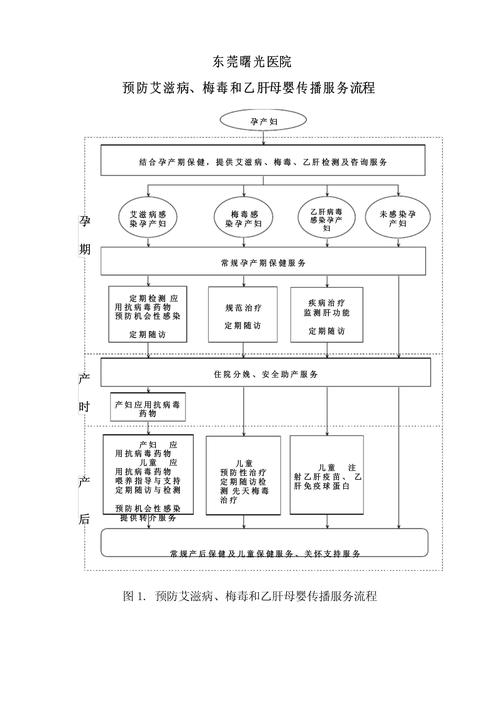 预防艾滋病梅毒和乙肝母婴传播服务流程